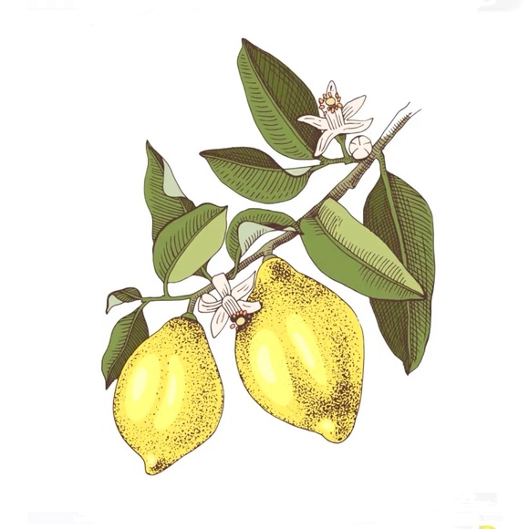 lemonlimeluck
